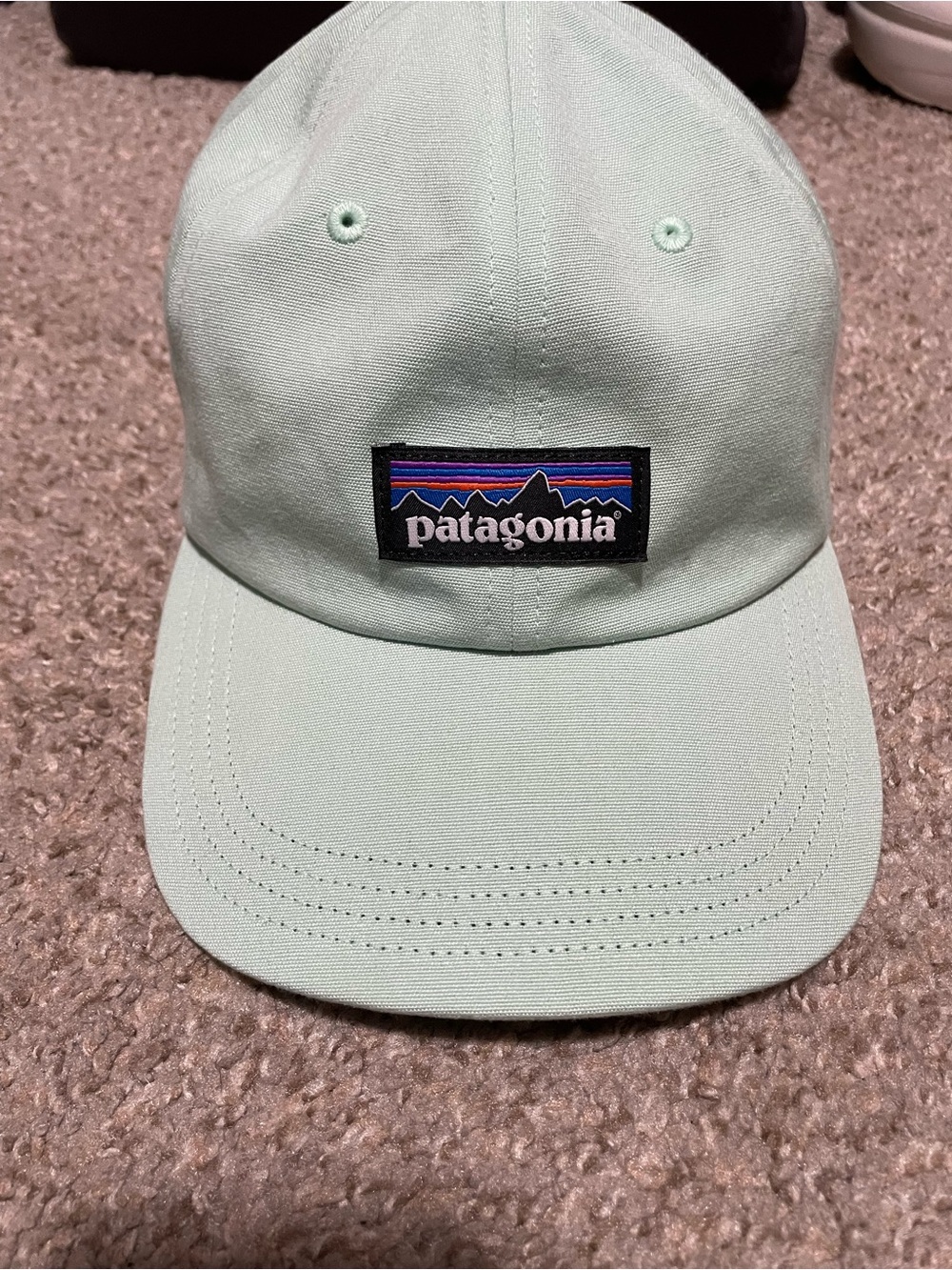 Patagonia Rinsed Green P-6 LABEL TRAD CAP Unisex size